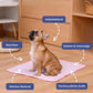 ✨️Summer Hot Sale 49% OFF🧊Premium Cooling Mat For Pet