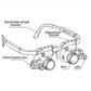 🎁👓8X 15x 23x Head Wearing Magnifying Glass with LED Light Headband