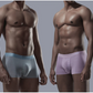 🎁Special Big Sale🔥Men's Seamless Breathable Underpants