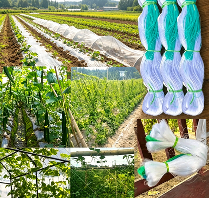 🌿【Climbing Net】— Tomatoes and cucumbers climb up on their own, keeping the fruit off the ground so you don’t have to bend over when picking them! 🍅✨