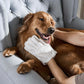 🔥HOT SALE 49% OFF🔥Deodorizing Pet Glove Wipes For Dogs（6Pcs）
