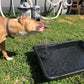 ✨Hot Sale 49% Off✨Upgraded Solar Powered Water Fountain Pump With Accessories