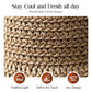 🔥 Hot sale 49% OFF🔥Elegant Woven Straw Sun Hat with Bow