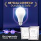 🏆Time Limited 60% off💥Rechargeable Emergency Light Bulbs