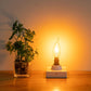 🔥Christmas Sale-Buy 2 Get 1 Free💡LED Flickering Flame Decoration Light Bulbs