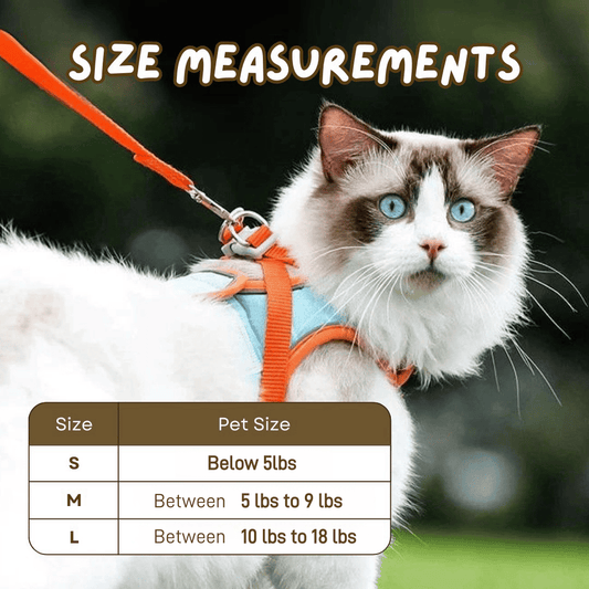 🔥Last Day Sale 50% OFF🔥Cat Harness & Leash