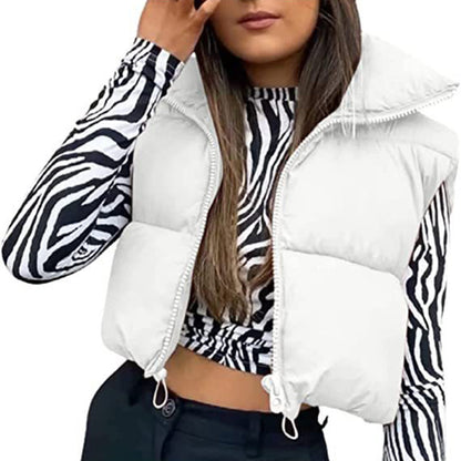 🎁Last Day 49% Off🔥Women's Solid High Neck Zip Up Puffer Vest