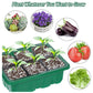 🔥New Year Promotion 49%OFF - ✨️Adjustable Humidity Seed Starter Trays