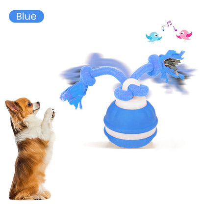 🔥NEW YEAR SALE⚡50K+ SOLD!🔥Interactive Rolling Cat Ball with Bird Sounds