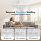 Dual-Head Ceiling Fan with LED Light