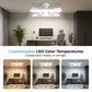 Dual-Head Ceiling Fan with LED Light