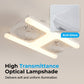 Dual-Head Ceiling Fan with LED Light