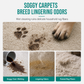 ⏳LAST DAY SALE 50% OFF!!✨️Waterless Fabric and Carpet Cleaner