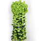 🔥LAST DAY $9.99 -🏡Vivid Artificial Hanging Orchid Bunch