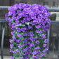 🔥LAST DAY $9.99 -🏡Vivid Artificial Hanging Orchid Bunch