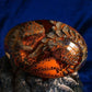 【Last Day 48% OFF】🐉Lava Dragon Egg