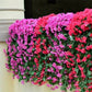 🔥LAST DAY $9.99 -🏡Vivid Artificial Hanging Orchid Bunch